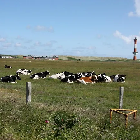 Apartment Leuchtturmblick *